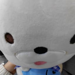 구름이의 브이로그