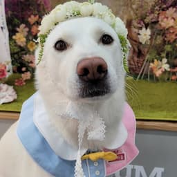 순딩순딩 이풍순 (풍순이네)