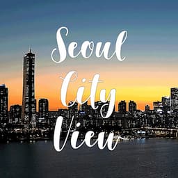 Seoul City View - 여의도 한강 라이브