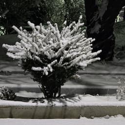 자연이좋다(Healing)_Camp 