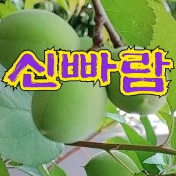 신빠람다육Healing tv