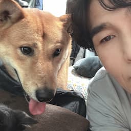 영도 진돌이(진돗개)