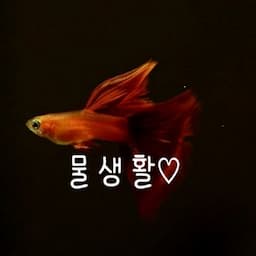 슬기로운 물생활TV