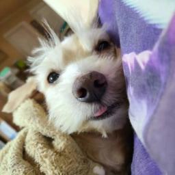 믿고사는 왕언니