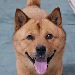 🐕따야 사랑🥰