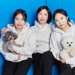 강아지분양 고양이분양 테디럽인천점