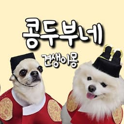 견생이몽 콩두부네