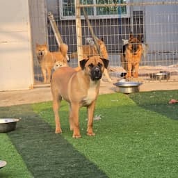 견생역전(최정주tv)