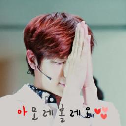 아모레볼레오Amorevo_LEO