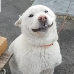 문산김서방(개병대)