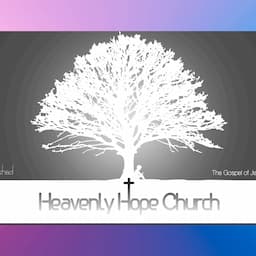 DHHC 하늘소망교회