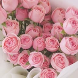 타로 나를 사랑하는 시간