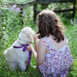 강아지분양🐶더독스