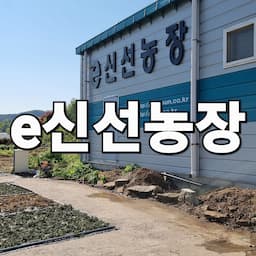 e신선농장(홍천)