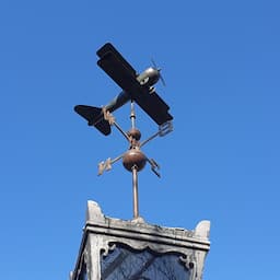 달팽이라이더 Snail rider