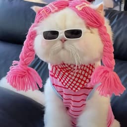 알로의 신발가게