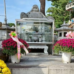 동안거정진100일기도