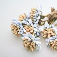 bebenori베베노리