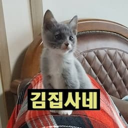 희망플러스HM+ 김집사네