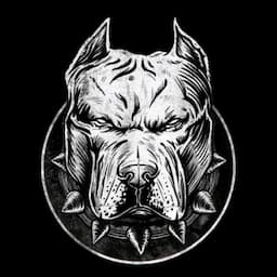 음주운전 헌터 핏불