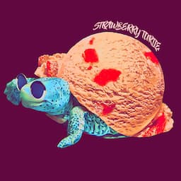스트로베리 터틀
