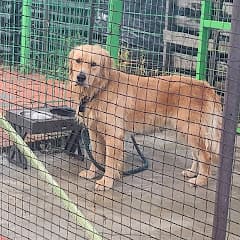 🤯⚘️천만송이들의일상