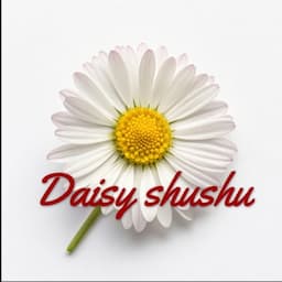 데이지슈슈