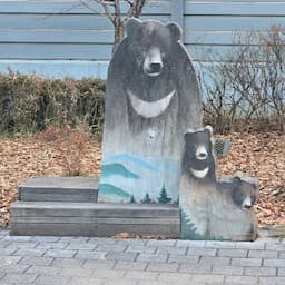 좌폭이의우회전