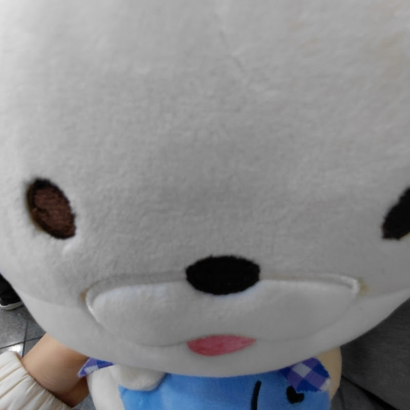 구름이의 브이로그