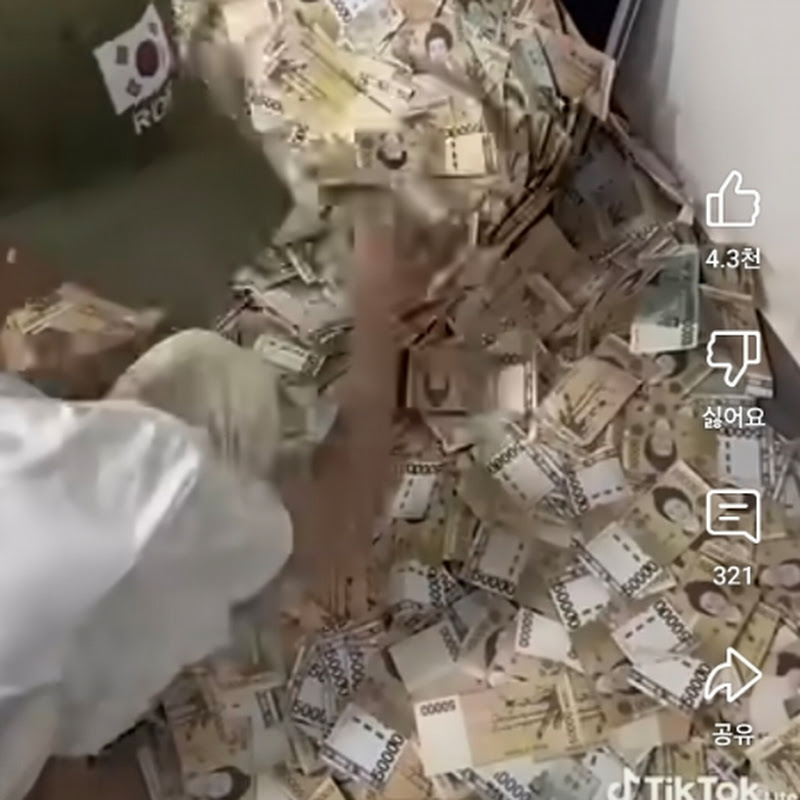 홍자두tv부계정