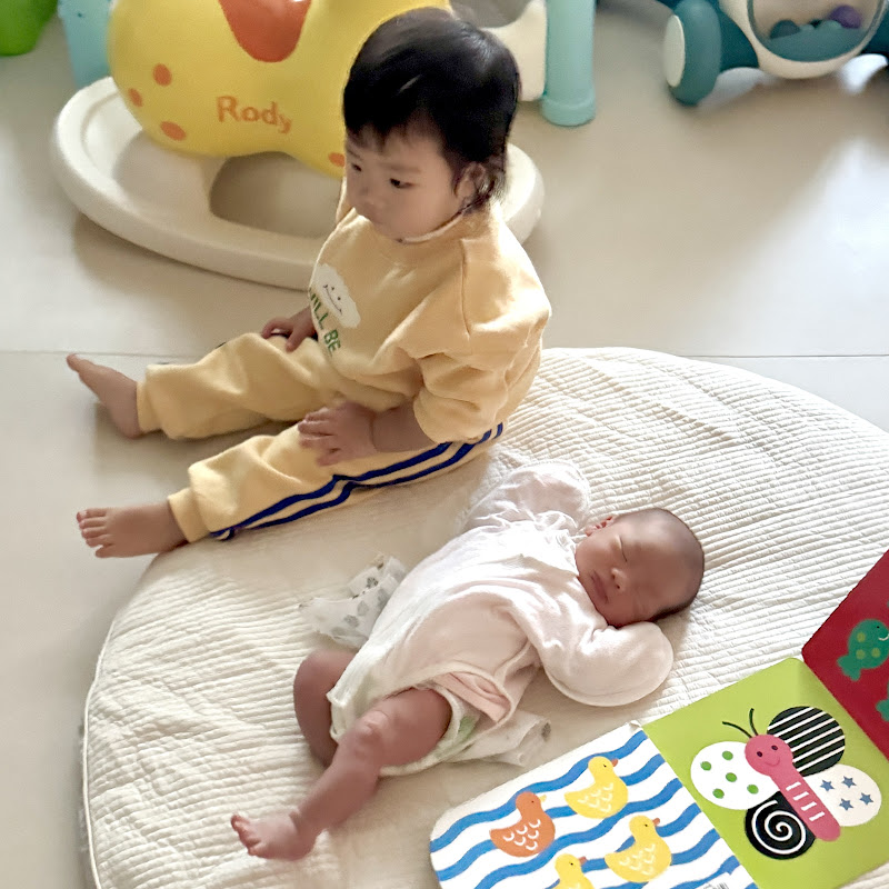 조자매와 세세남매